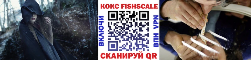 цена наркотик  Холмск  COCAIN FishScale 